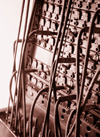 Security Image 1